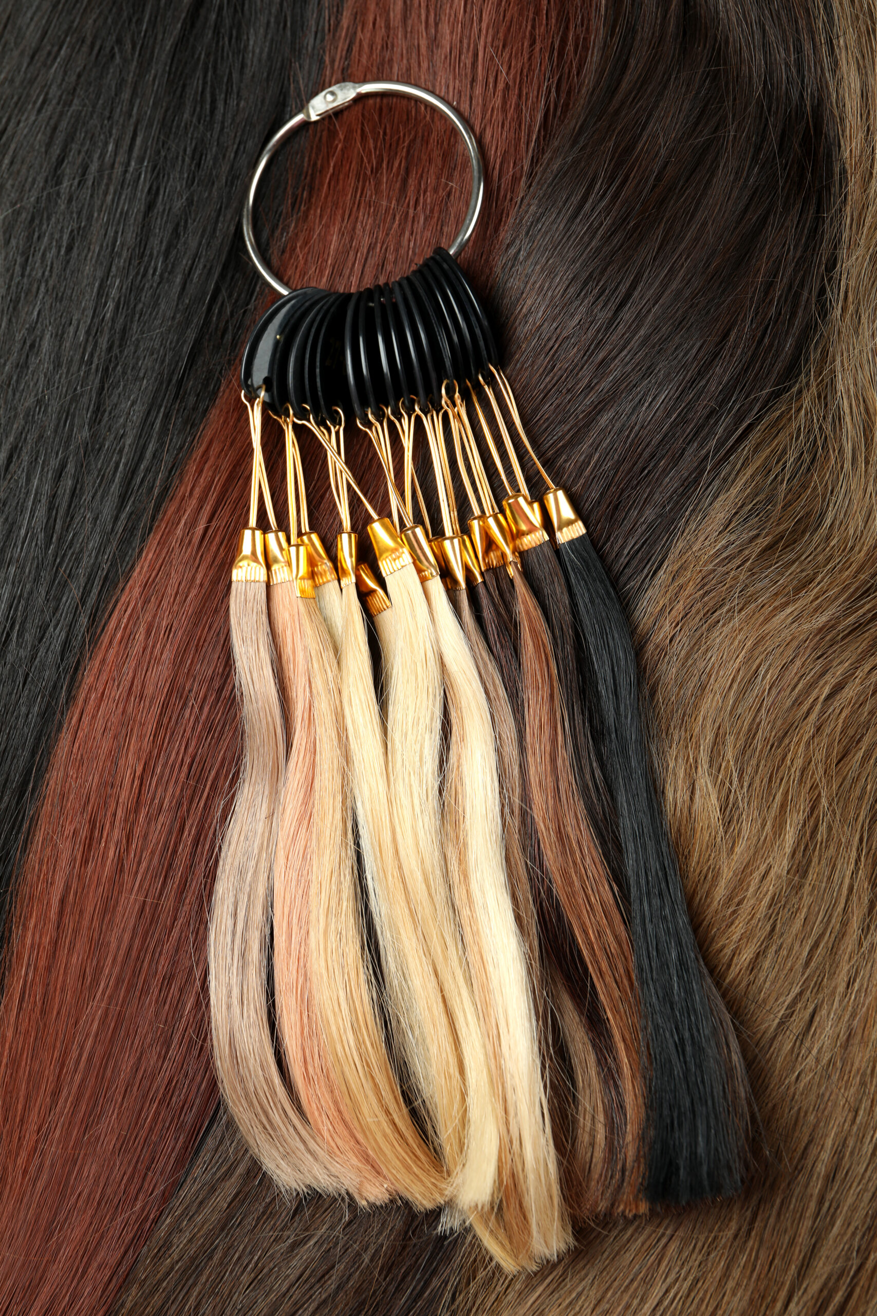 Samples of female hair on hair background